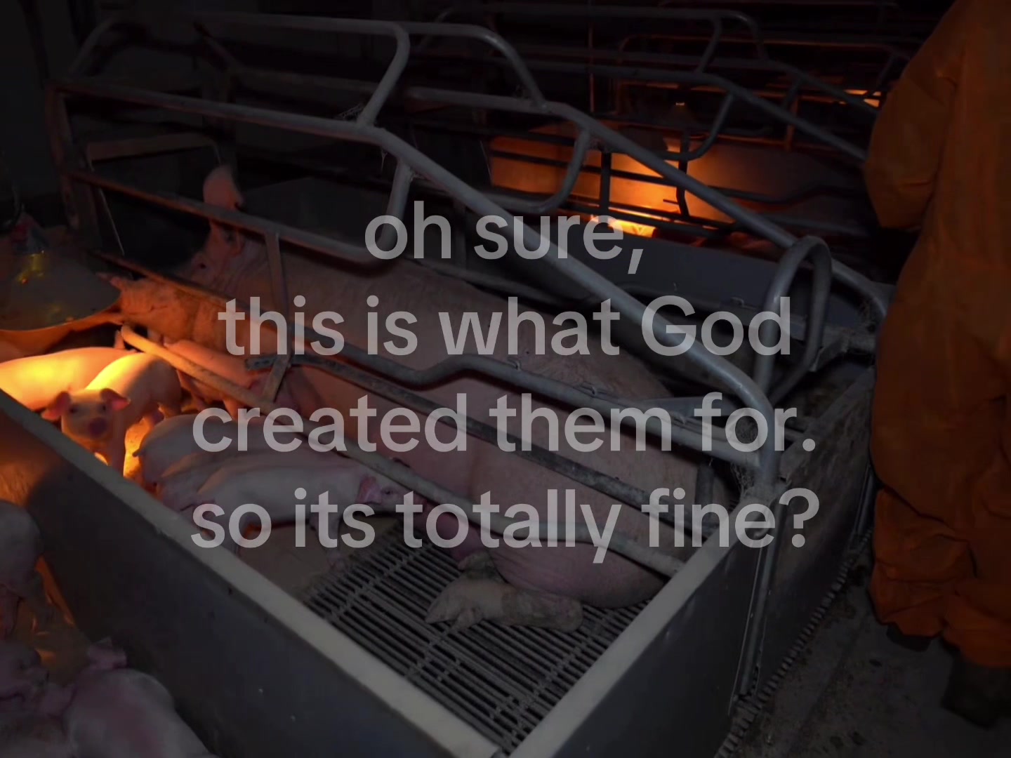 @Lu