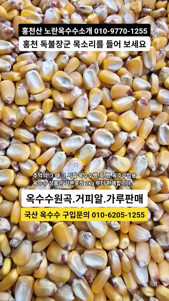 @🔥고물급남자