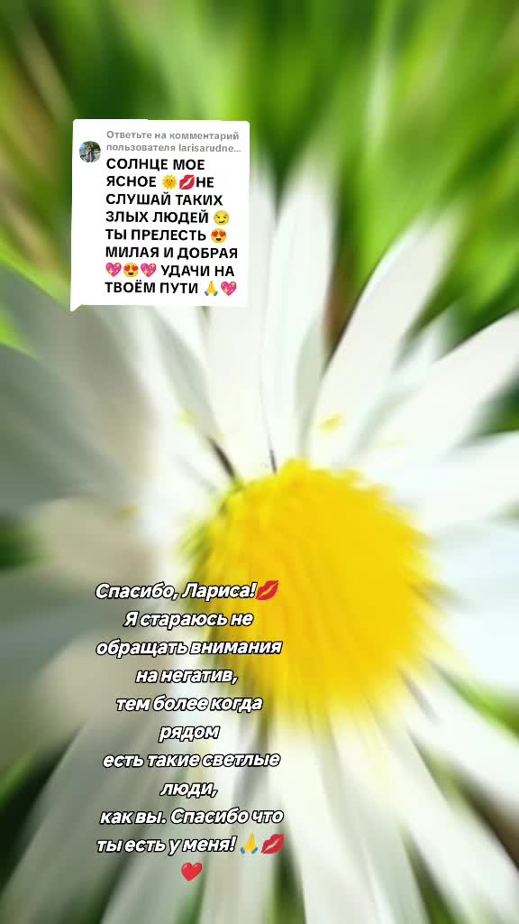 @꧁ ღ🦋 ЛуЧиК СоЛнЦа 🦋ღ ꧂