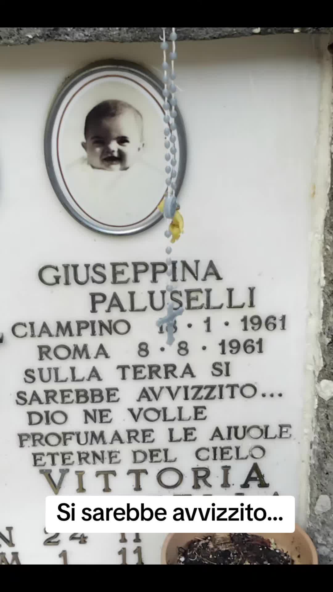 @antoniodotoli