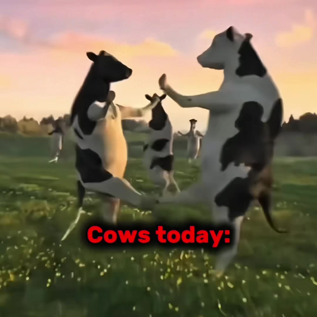 @𝙐𝙎𝙀𝙍🍁