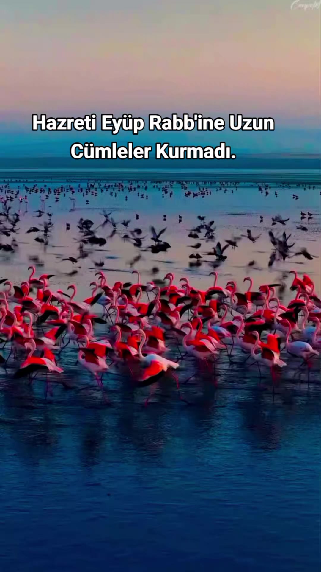 @Kur'an_ayet_hadis_ve_duâ
