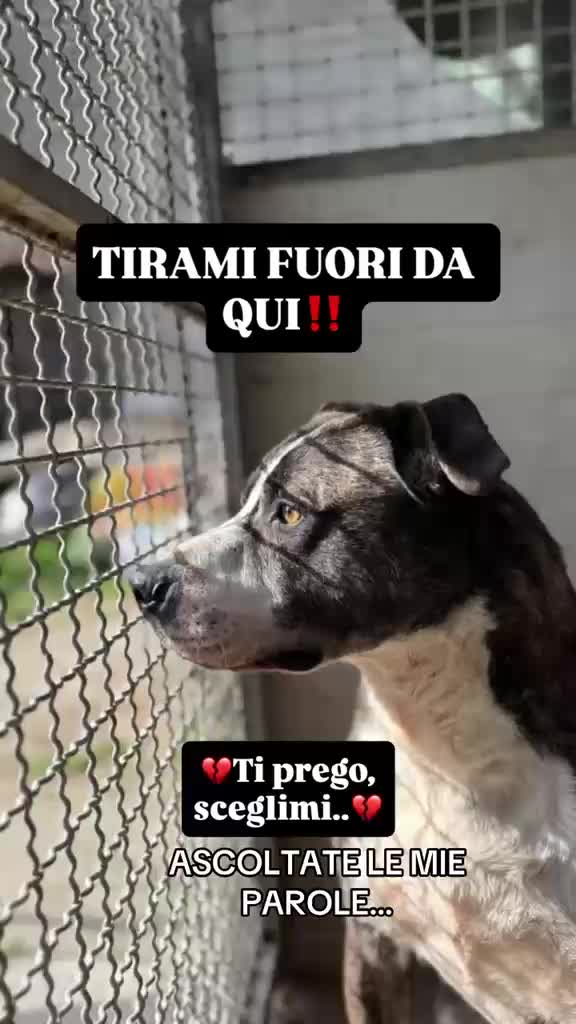 @Stefy Cirilli