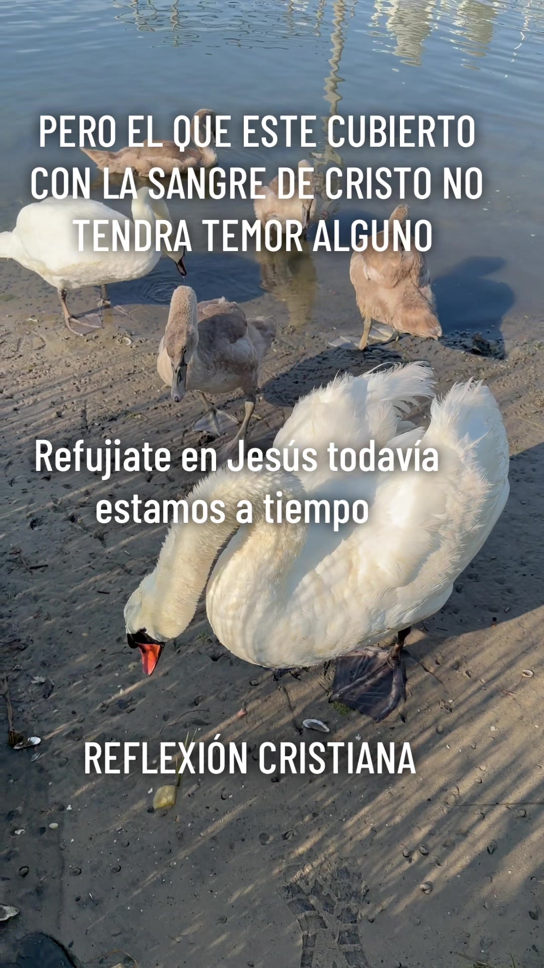 @Adelsomusicacristiana