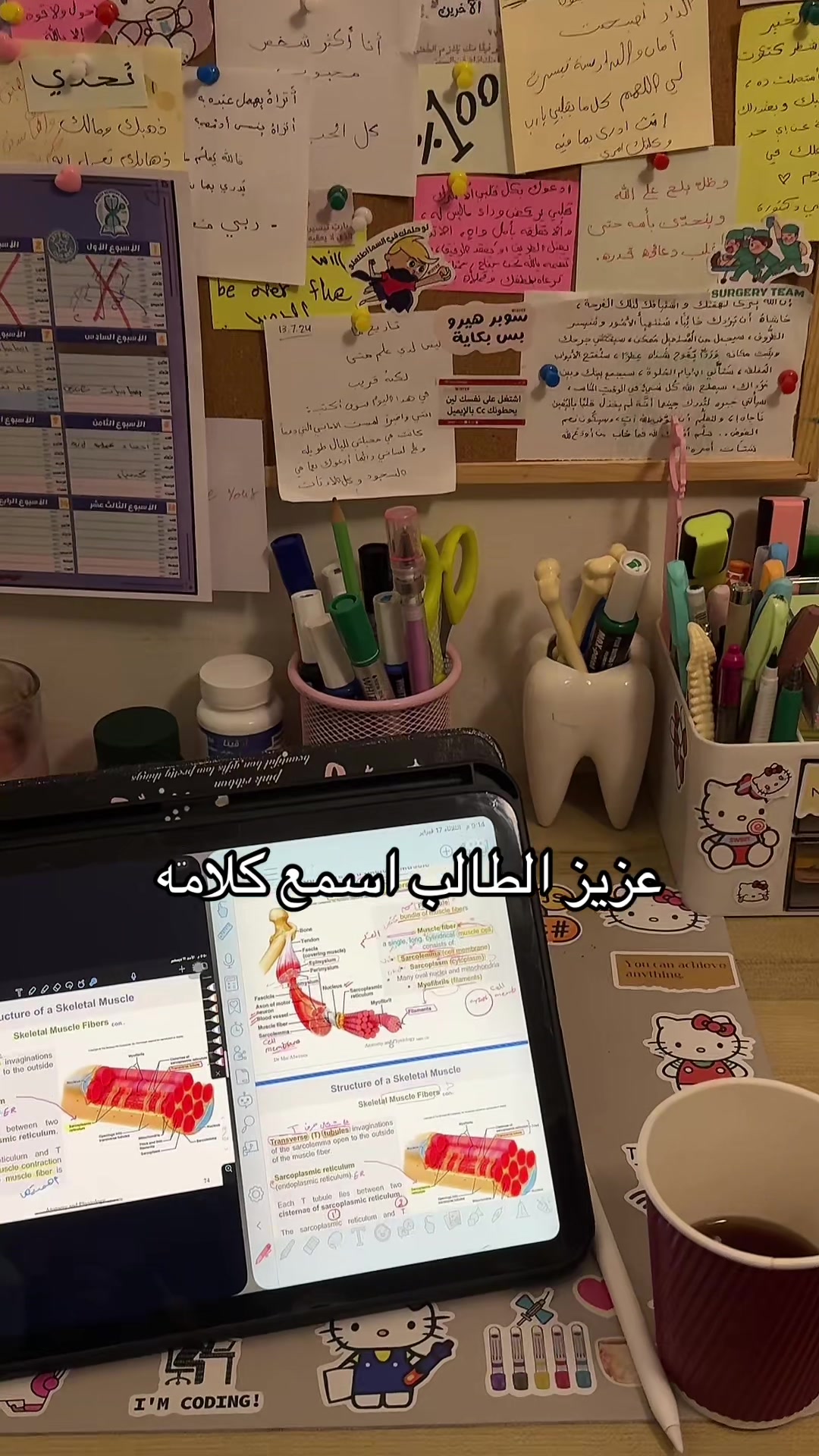 @معضله💪🏻🎀