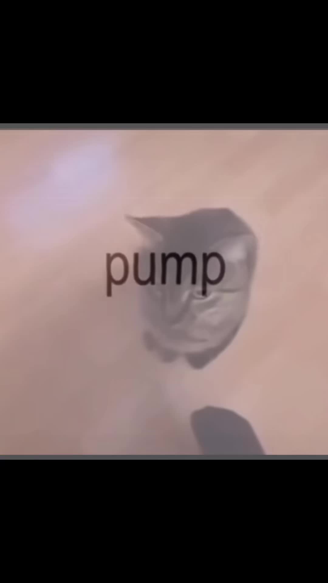 @D-DOUBLEFEDORA!?😛