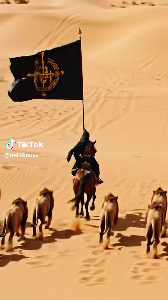 @sarfraz128