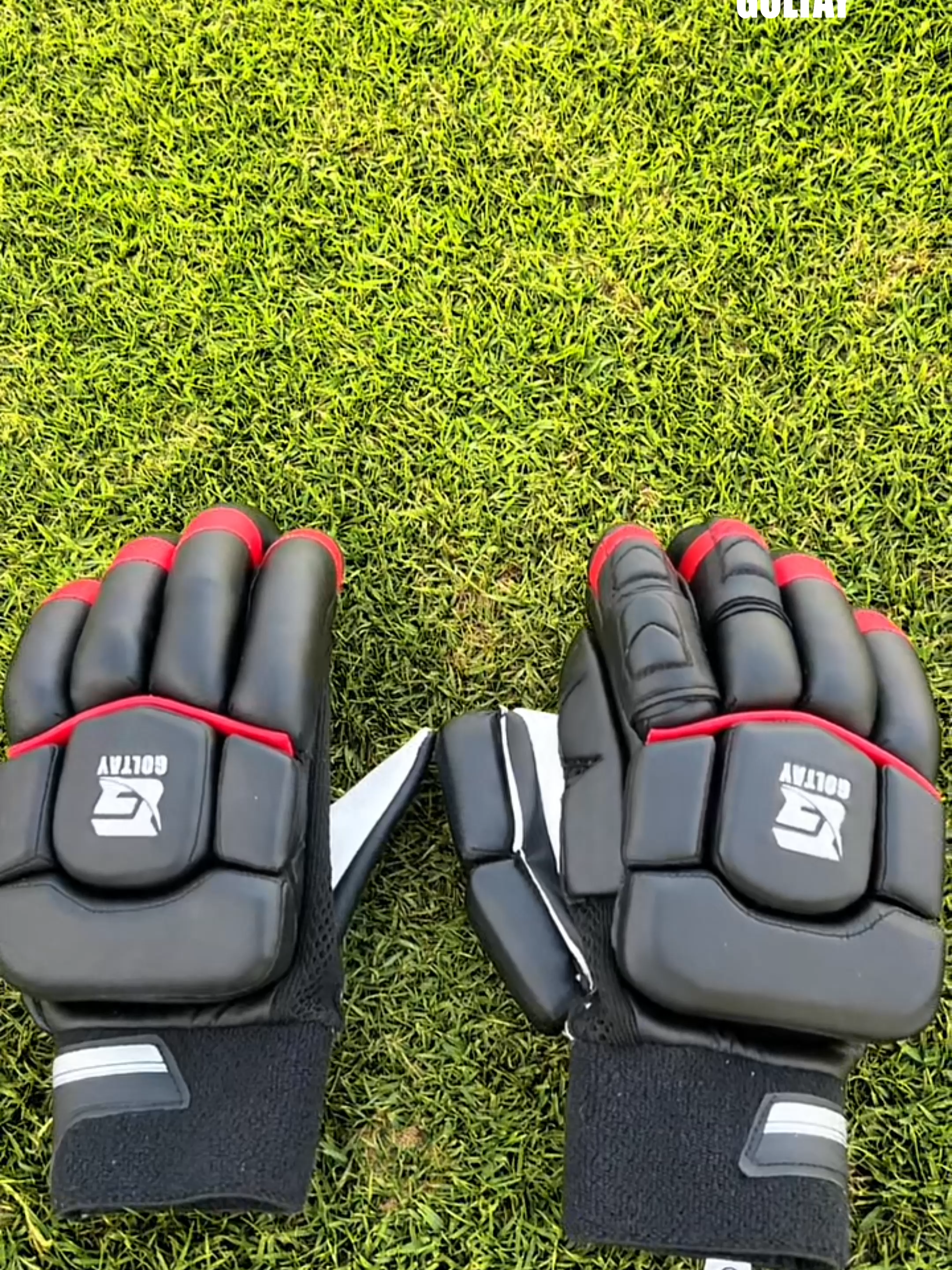 @Goltay Sports