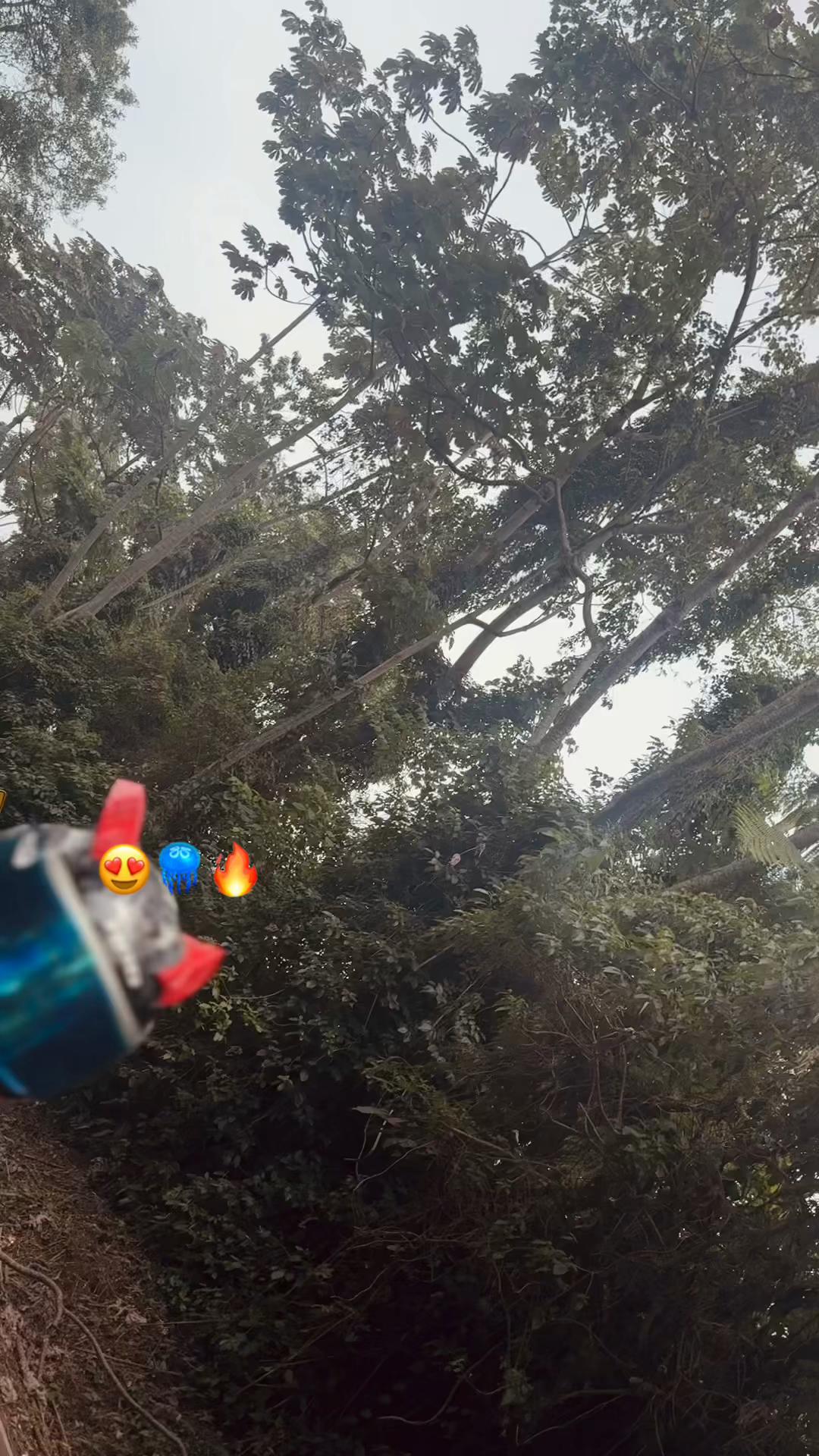@😻𝓢𝓪𝓵𝓿𝓪𝓭𝓸𝓻🙈💋