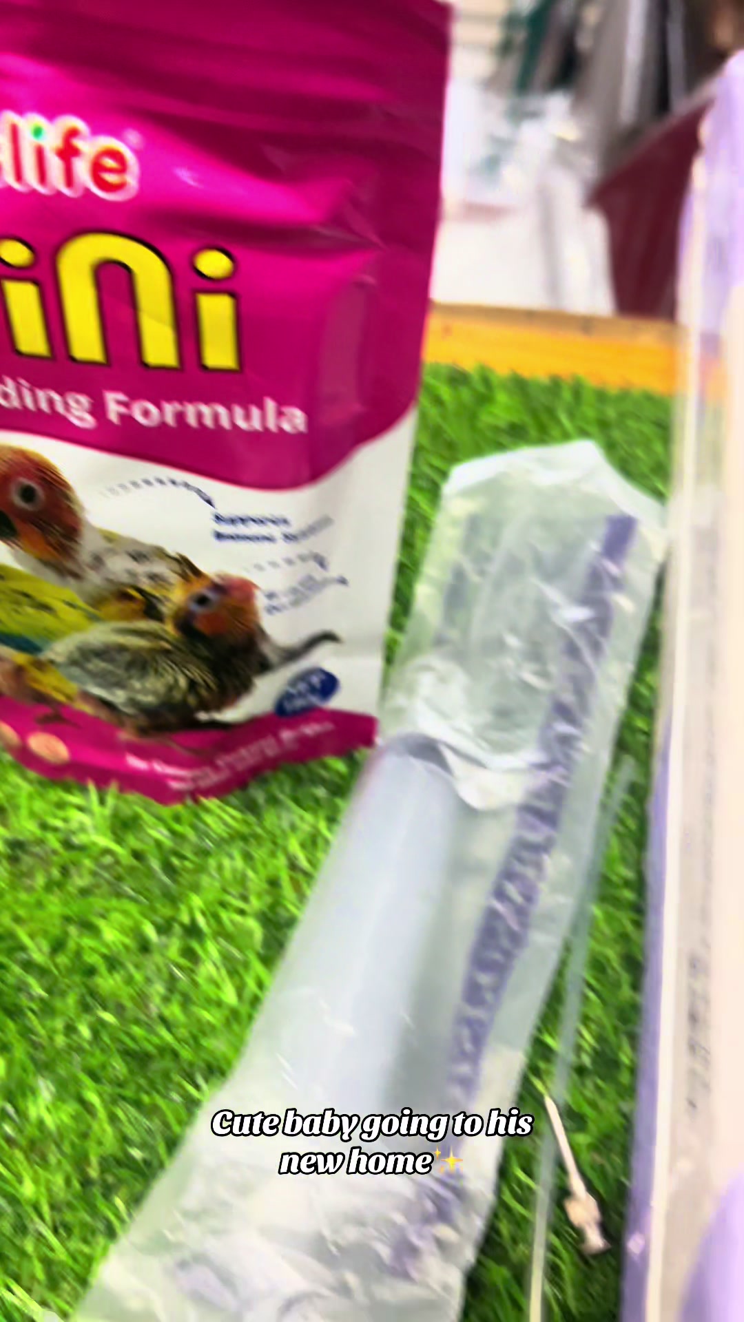 @wimpypetshop