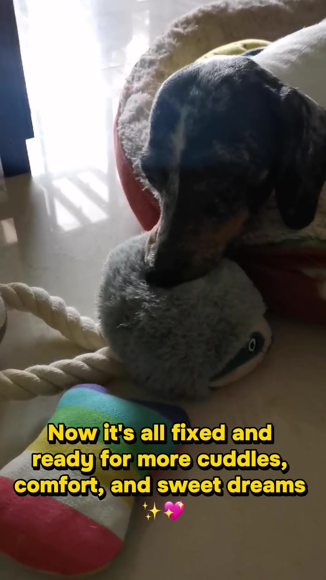 @PrincessGanda_doxie