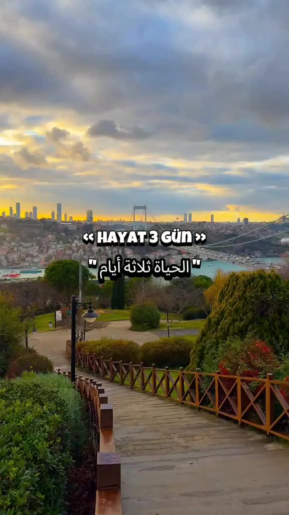 @sila.aydin