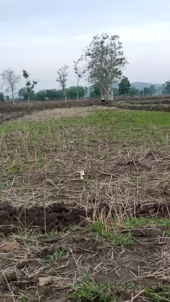 @Raja pali 7