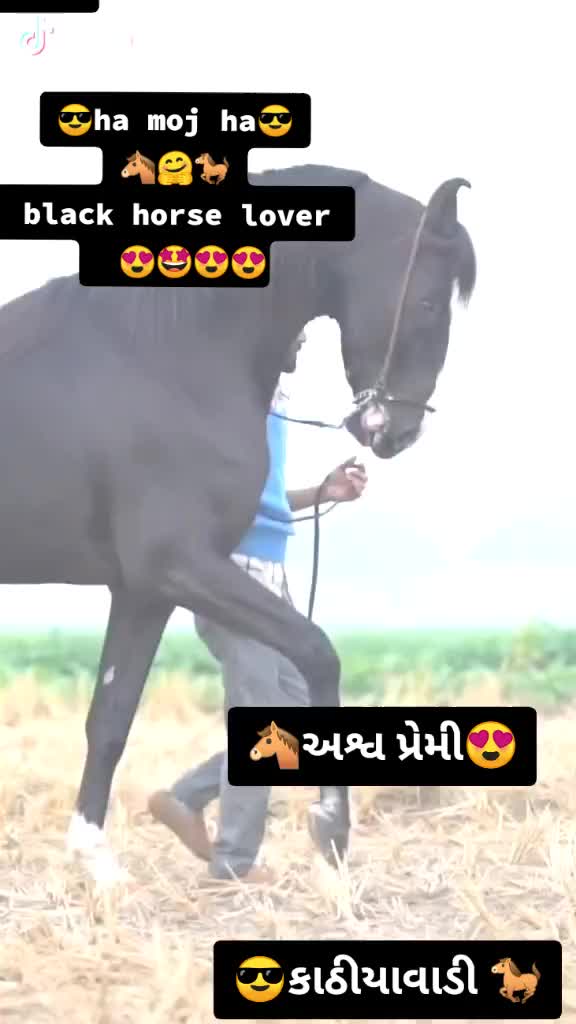 @jadeja virbhadrasinh