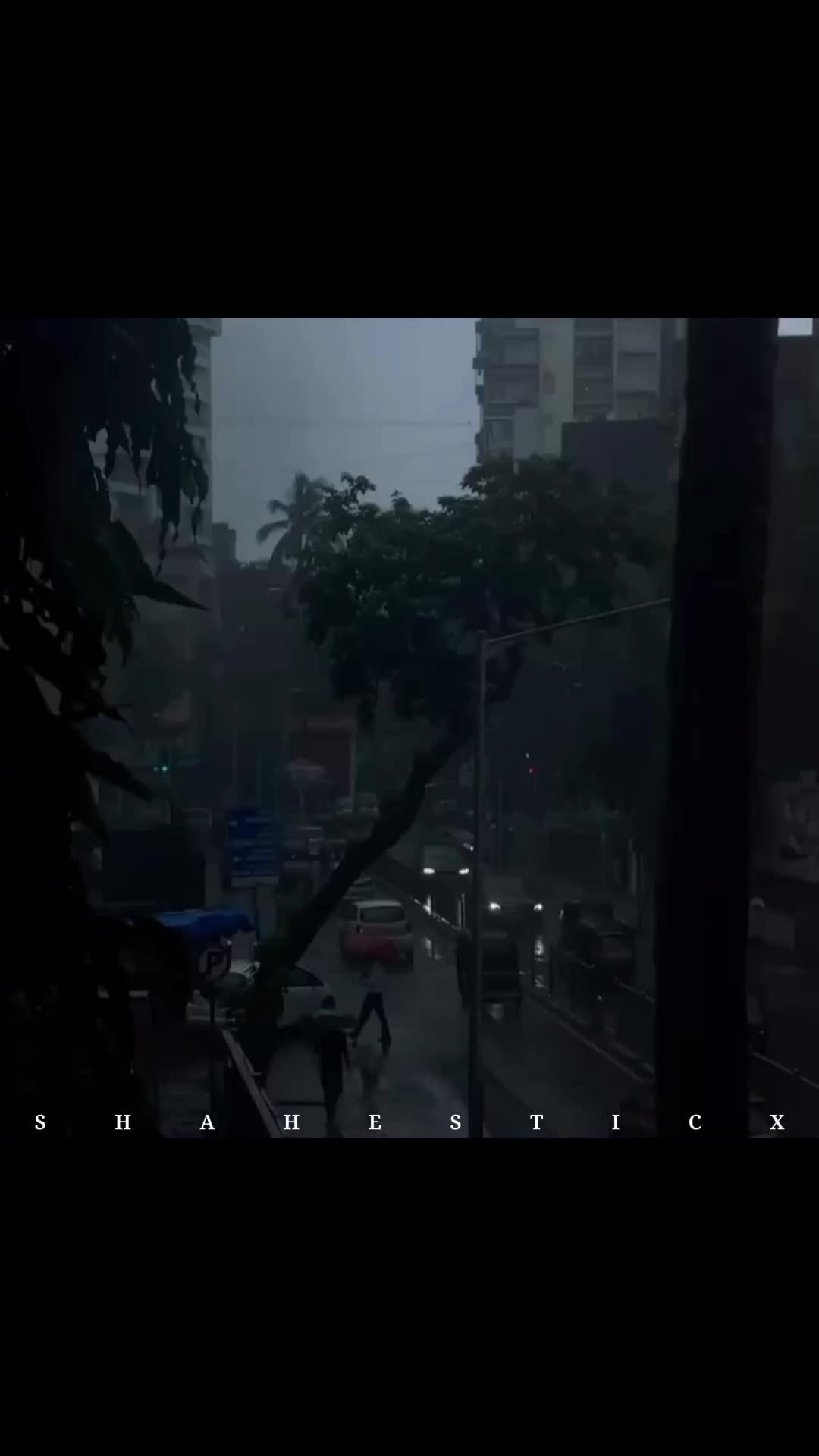 @𝐒－🕊