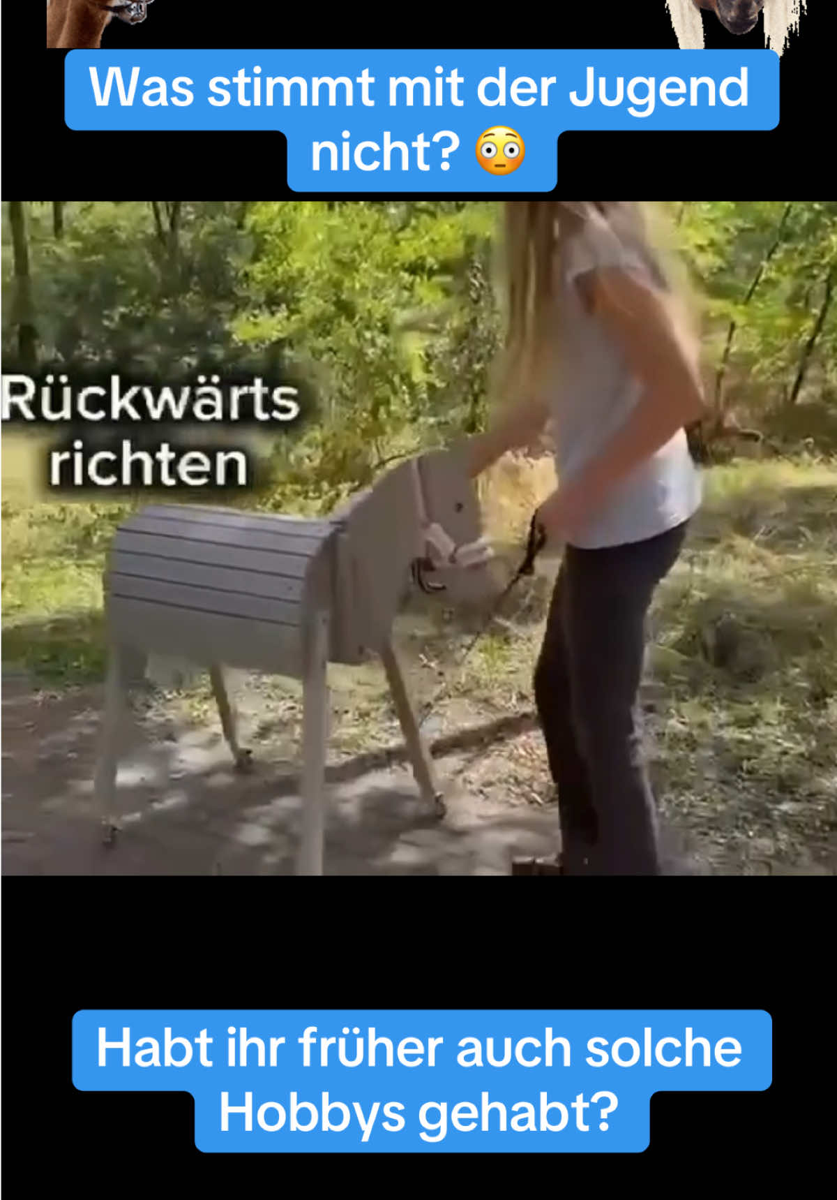 @Sven H&auml;misch AfD