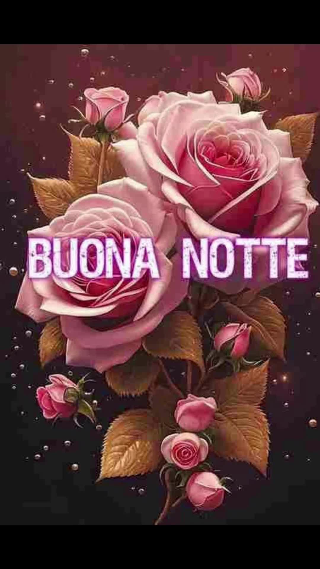 @🌞 Fede
