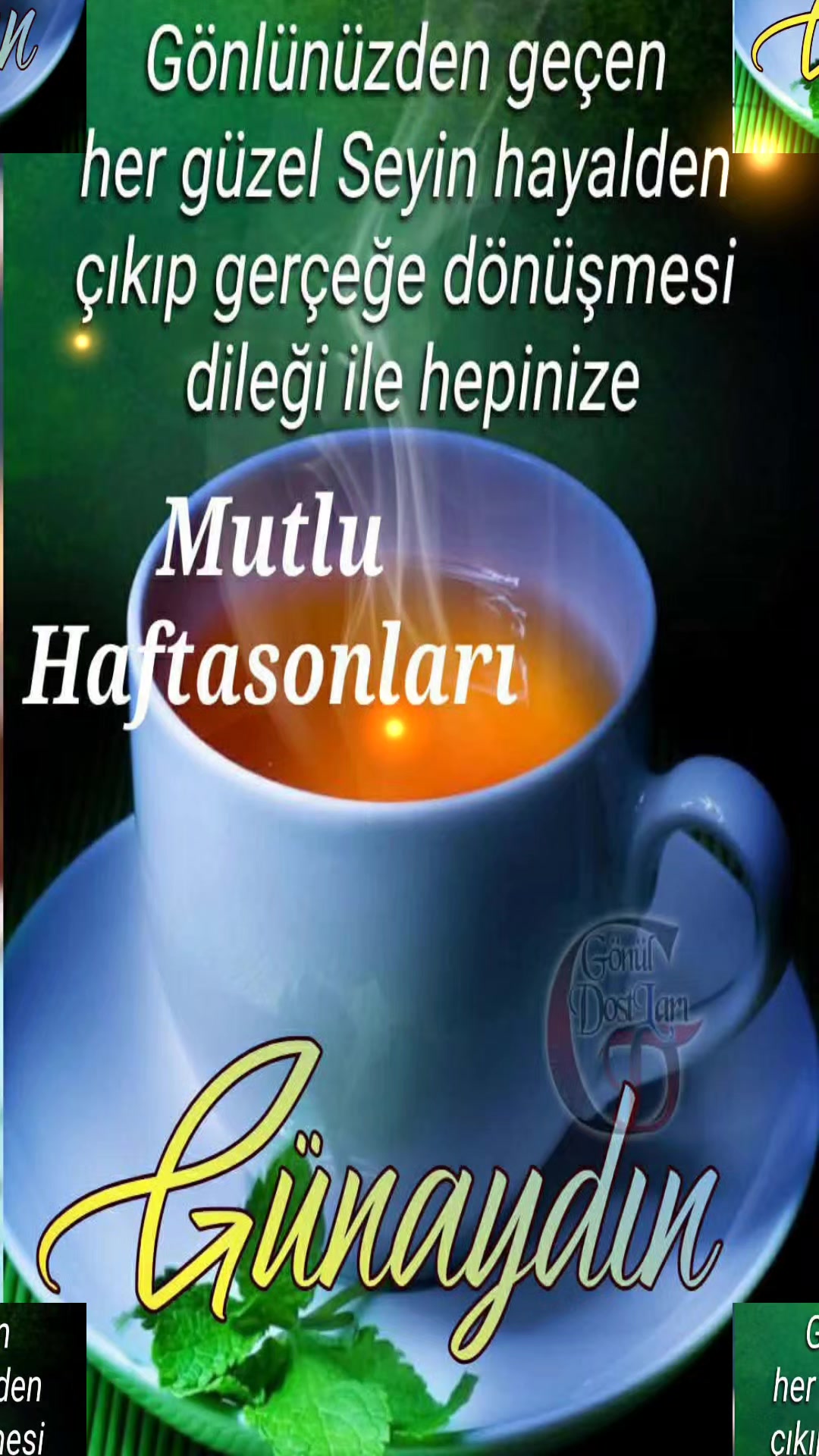 @Tennur yılamaz