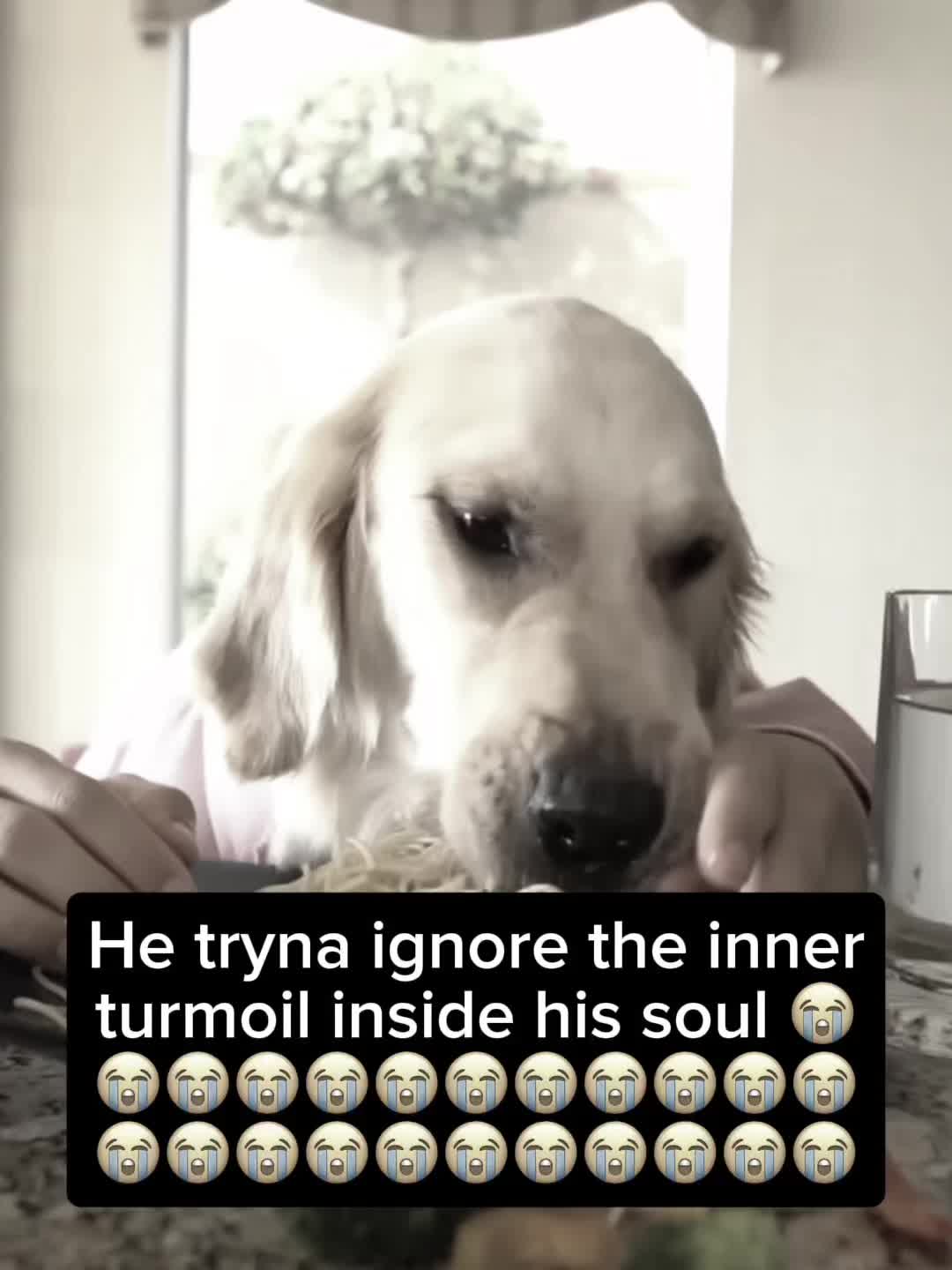 @Alex
