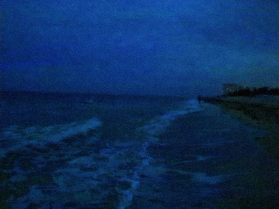 @♪𝘴𝘴𝘩𝘩𝘰𝘰𝘳𝘳𝘵𝘵𝘺𝘺♪