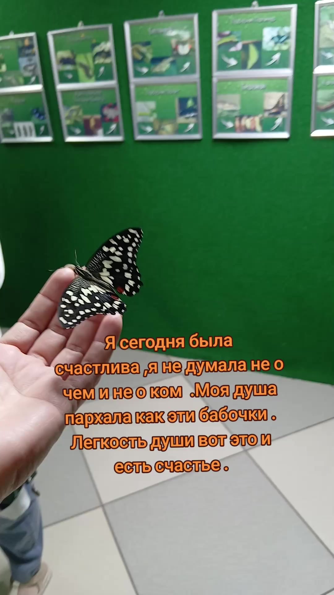 @Татьяна Высоцкая