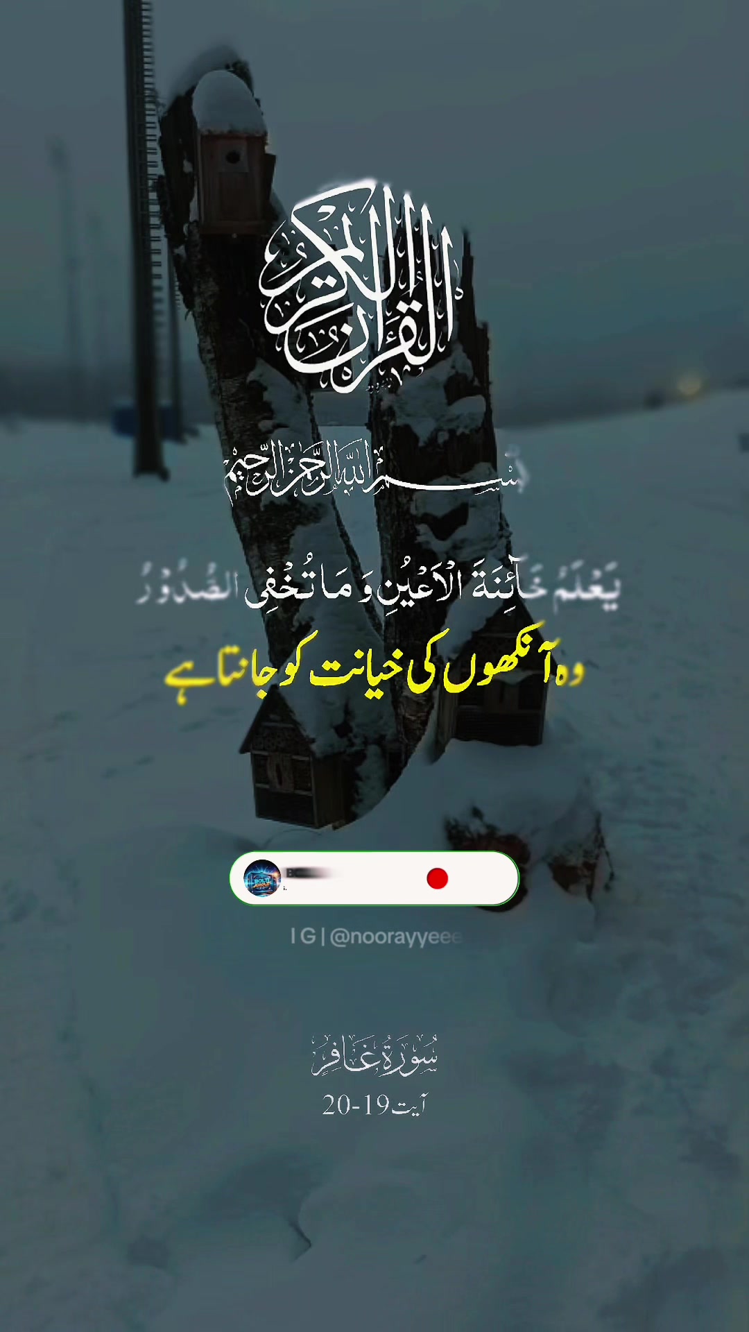 @noorayyeee