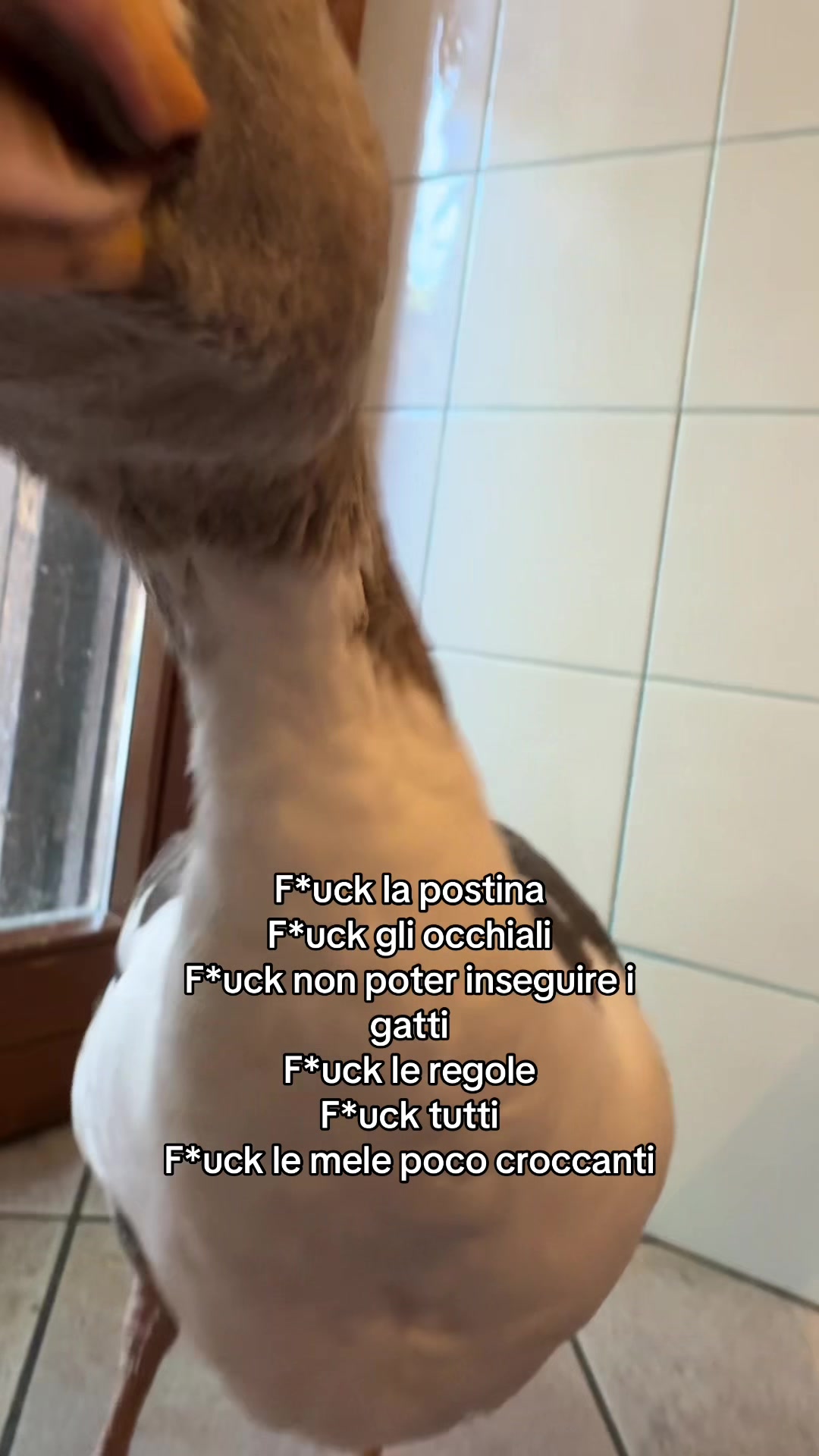 @AlbertoMaurizi