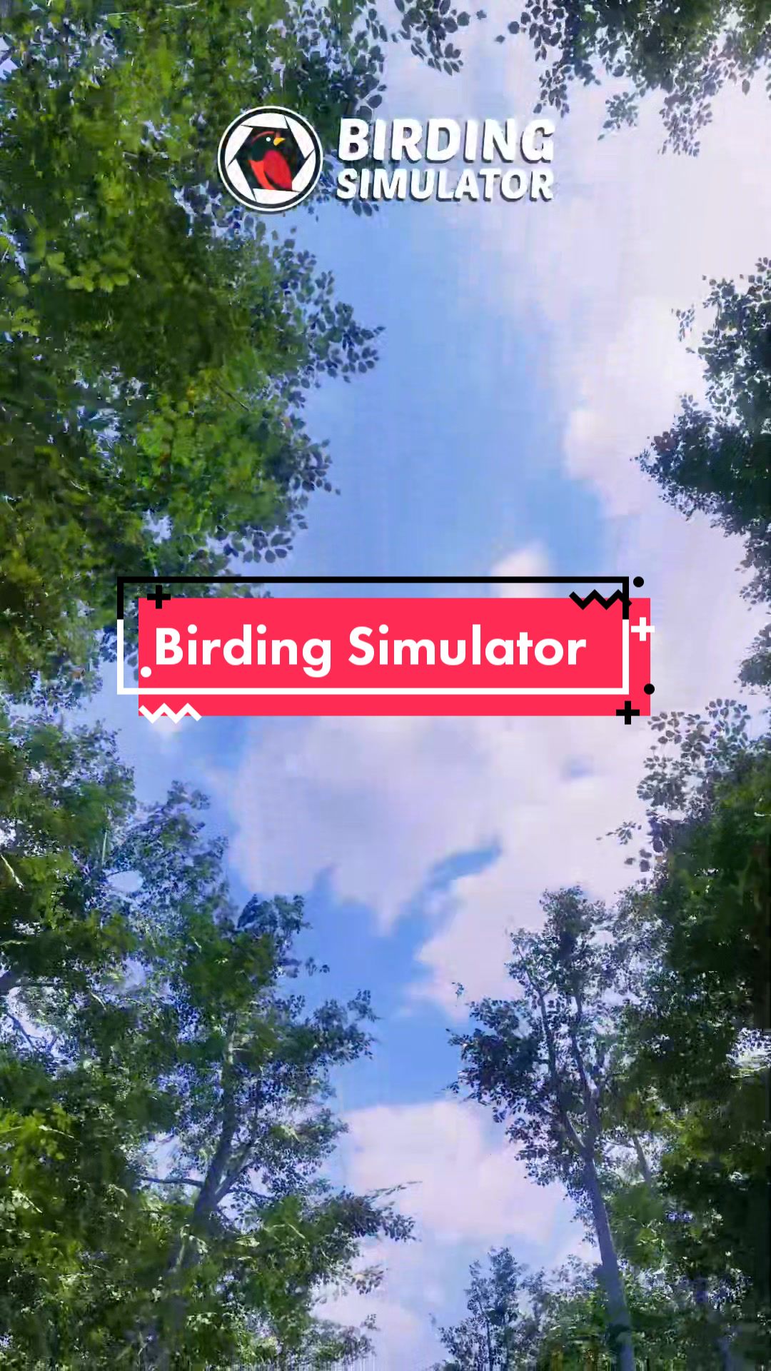 @BirdingSimulator