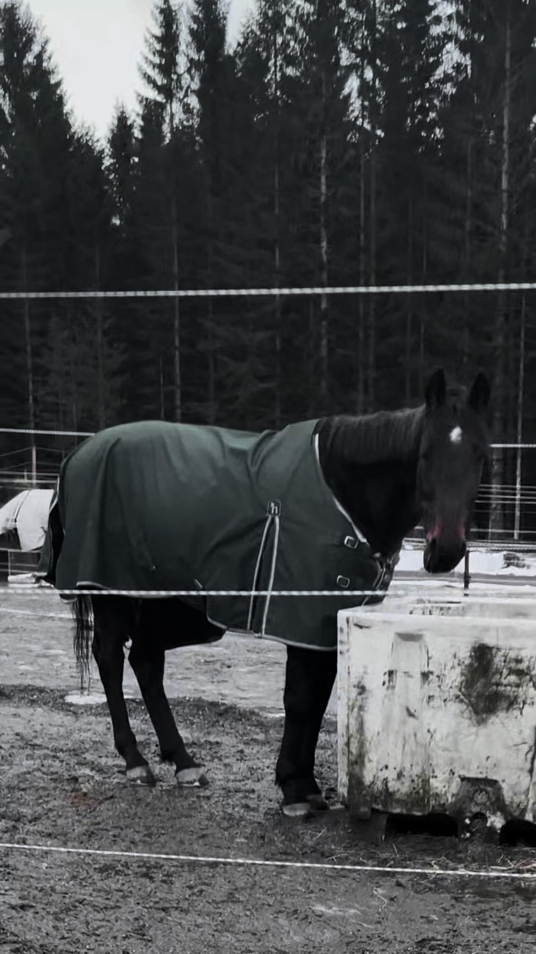 @mathilde 💕🐴