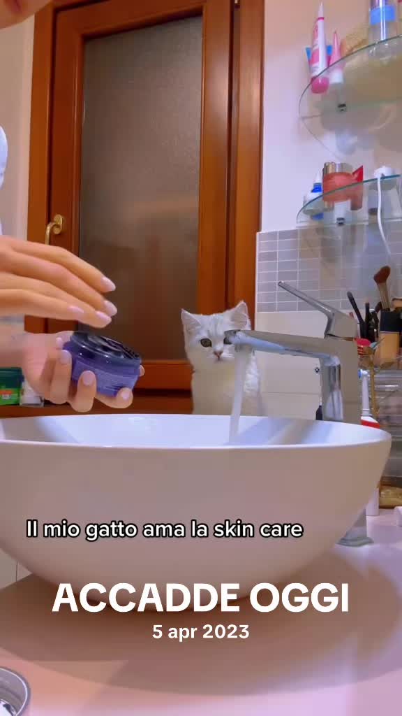 @Angelica Massera