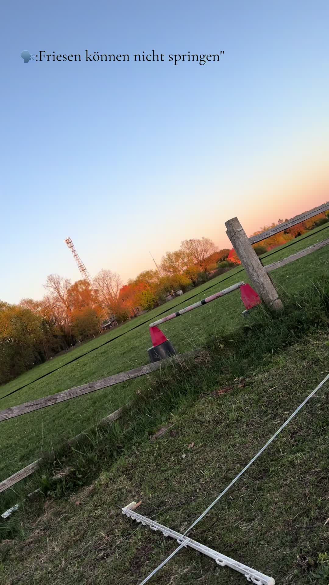 @Horses