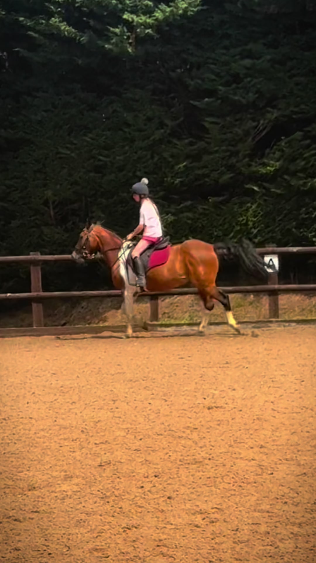@poppy 🌾🐴 🇬🇧