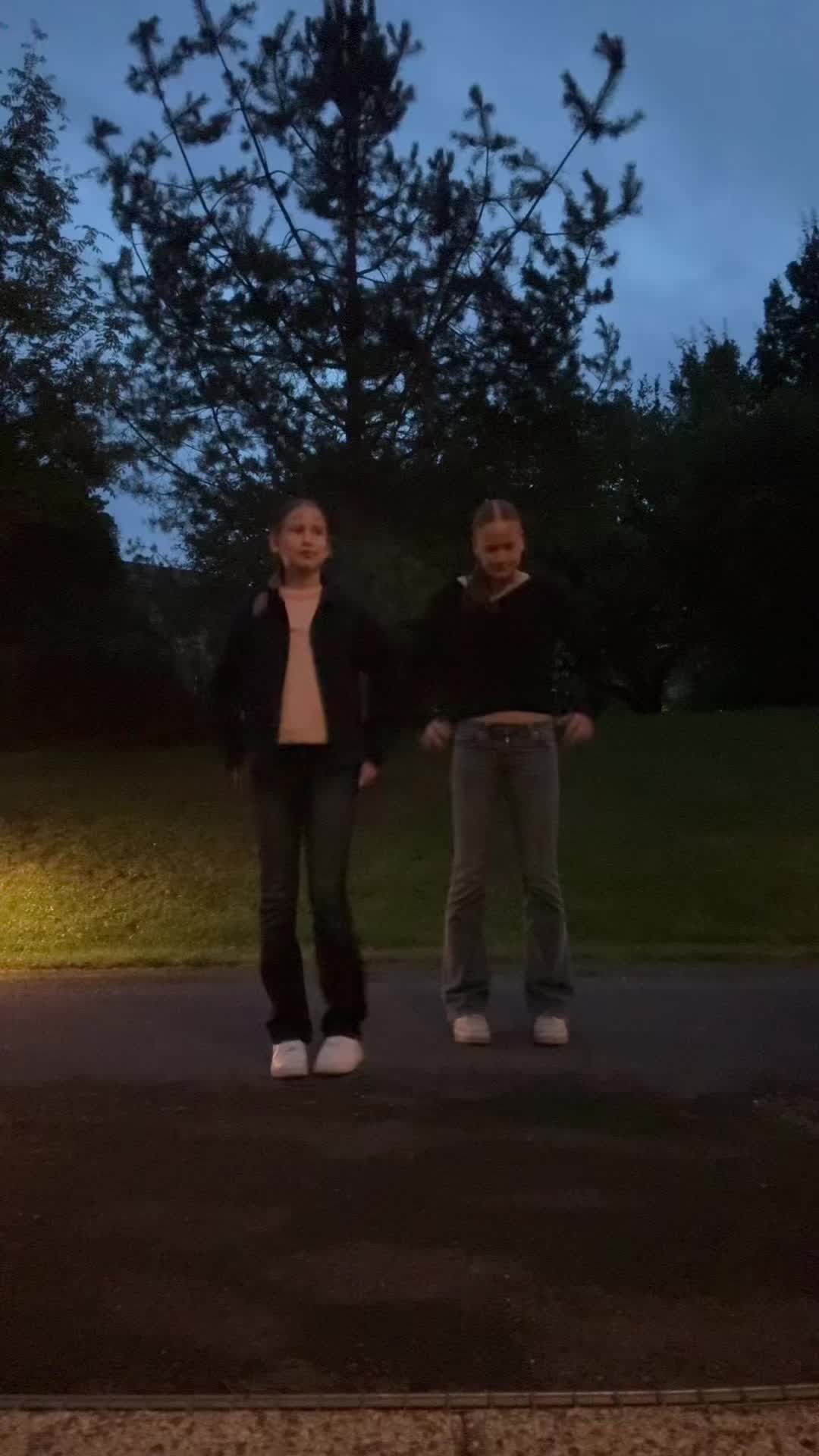 @Aadan ja Pihlan muuvit