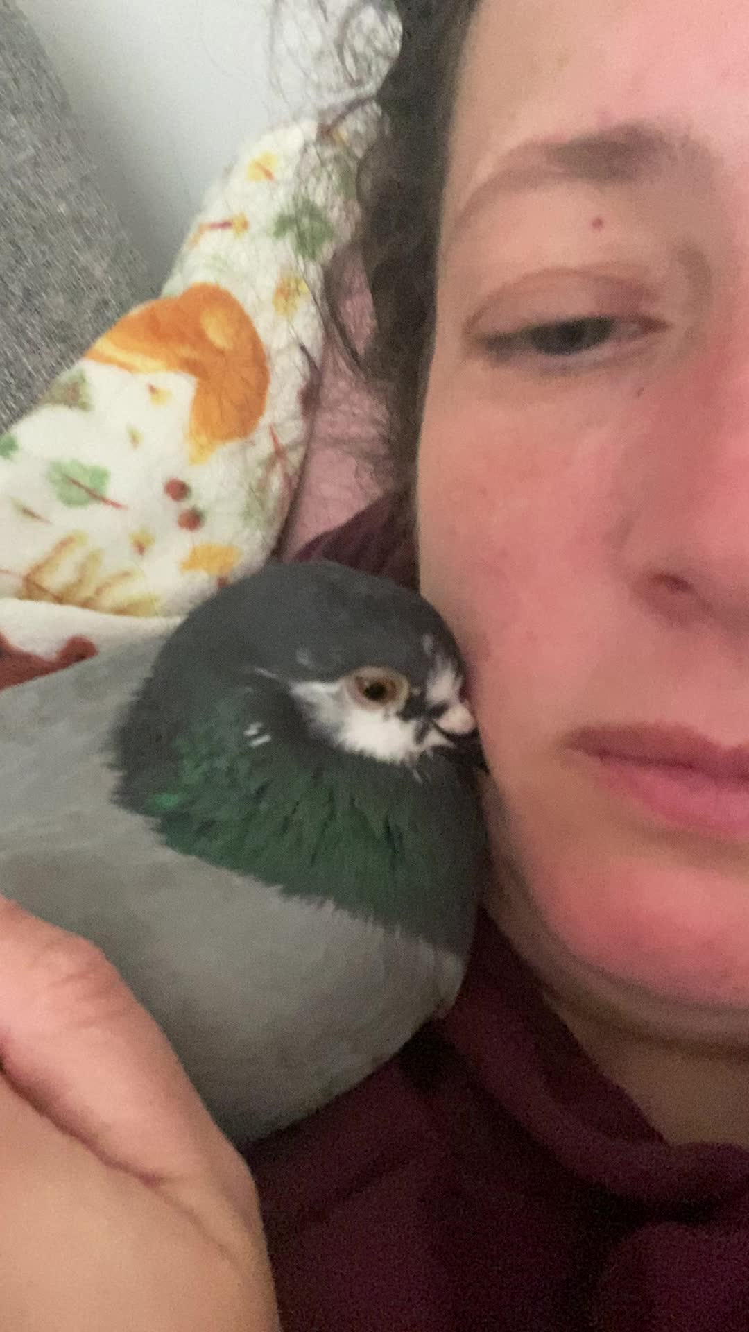 @whattheflock