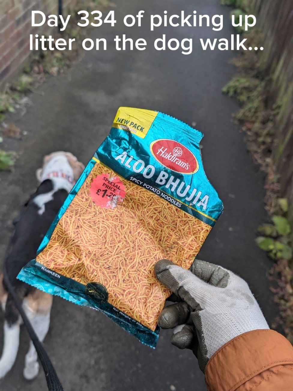 @LitterWalkiesWithRu