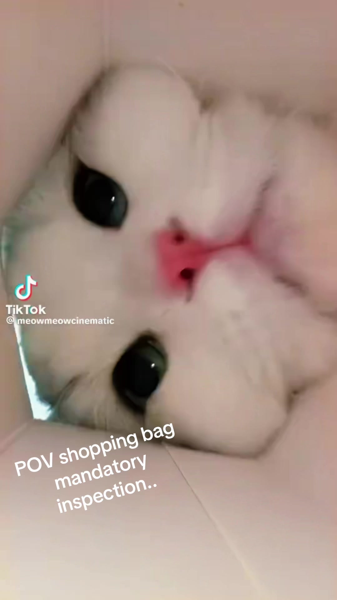 @Dazzled 🖖