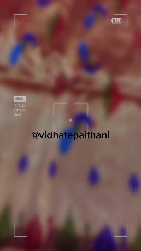@Vidhate Paithani