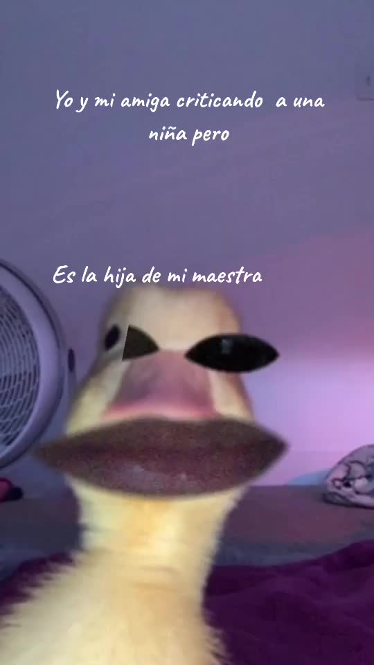 @oded