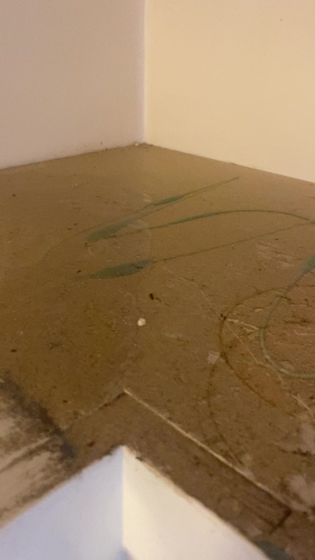 @LPainters/LCleaners