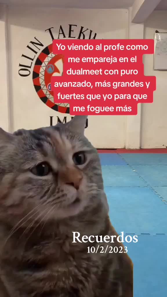 @Taekwondo_quetzalcoatl