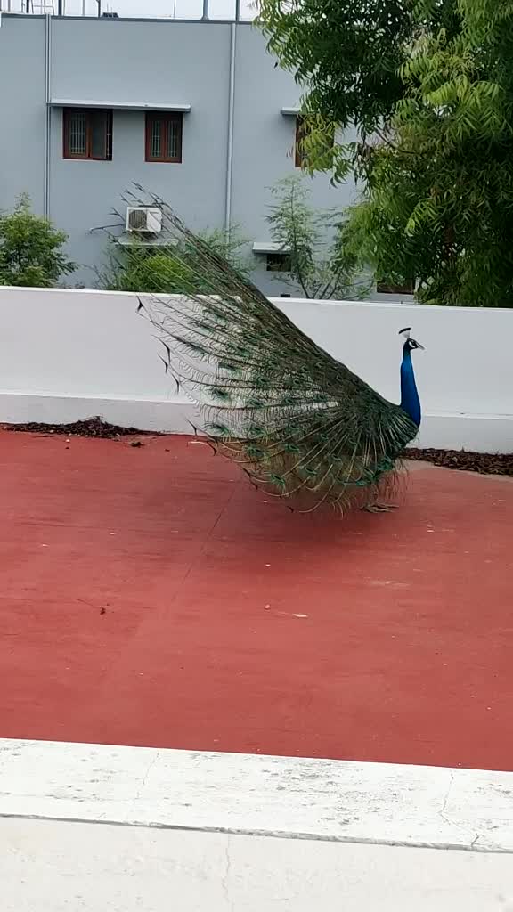 @prakash💙 Vennila