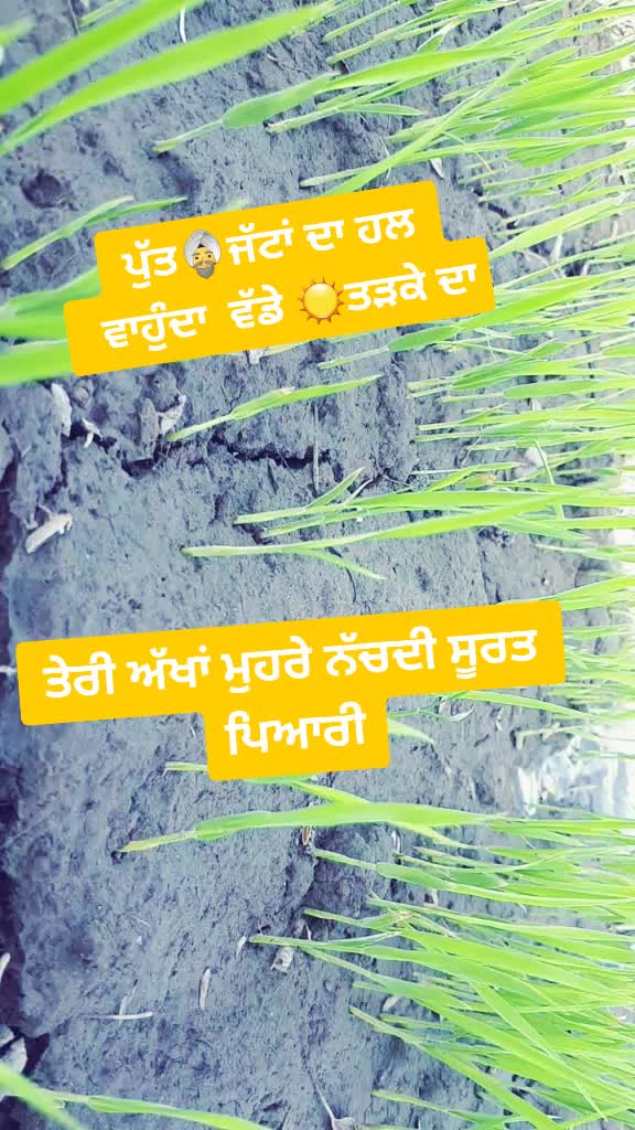 @Mani Dhillon