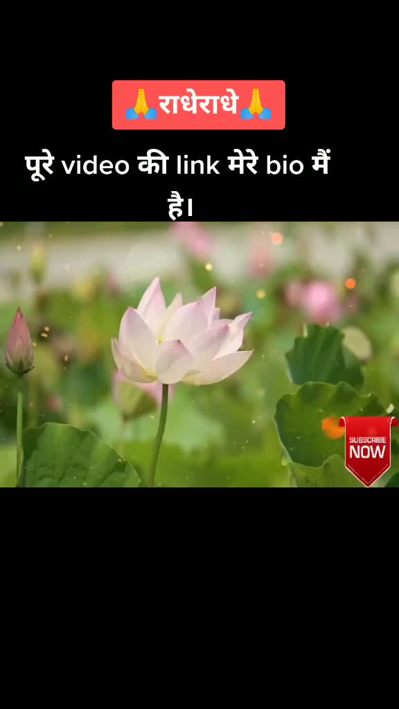 @Nirav Raval