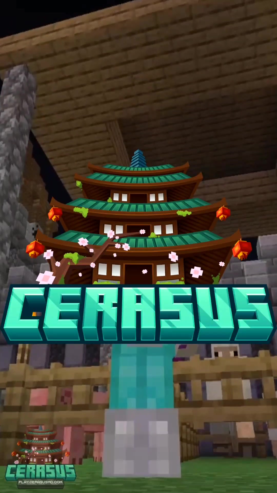 @Cerasus