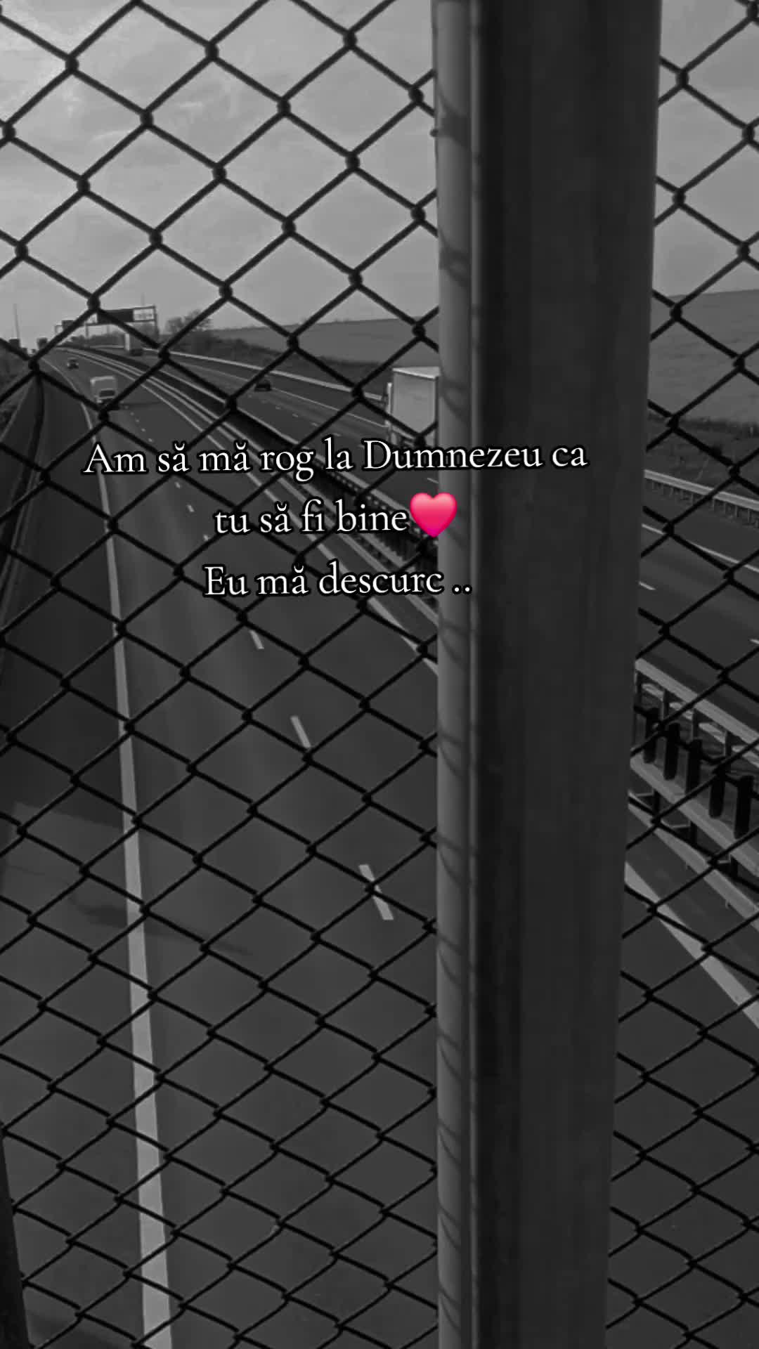 @⚜️Ąĺịɲ⚜️