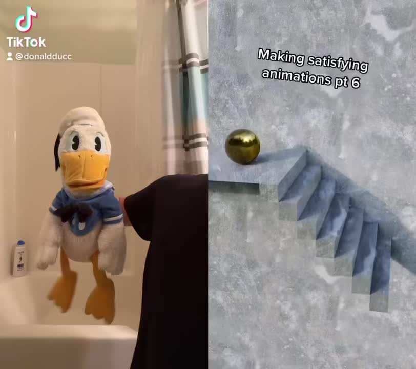 @DonaldDucc 🦆