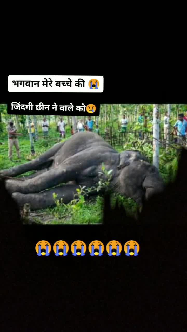 @mubeen