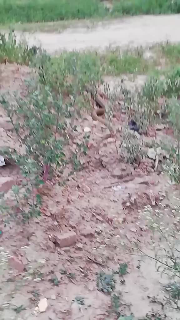 @user10856801277