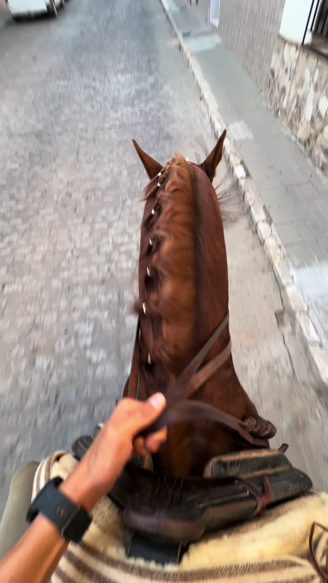 @Adri&aacute;n