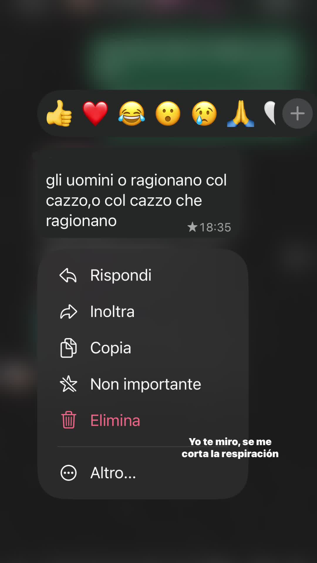 @ellaspamm